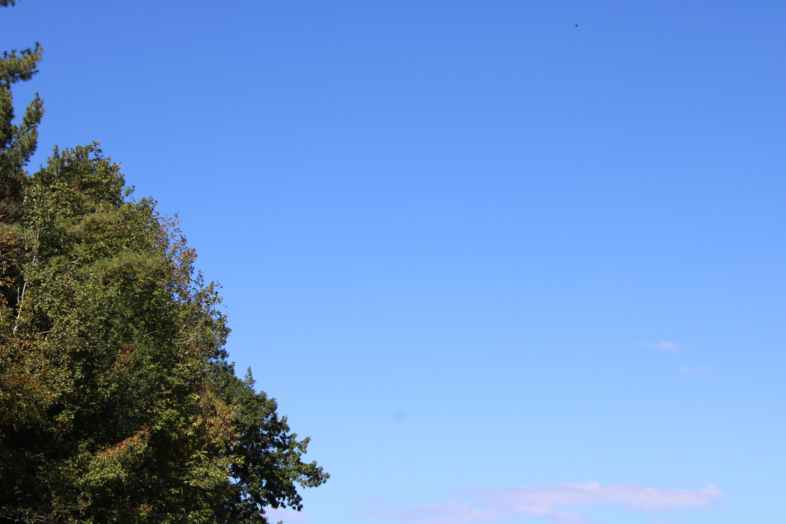 Outside the Window: Blue Skies